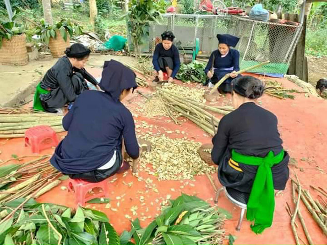 Lương y Nguyễn Thị Thái – “Kho Thuốc Nam” Hà Giang với hơn 20 năm kinh nghiệm chữa bệnh bằng bài thuốc gia truyền - 1