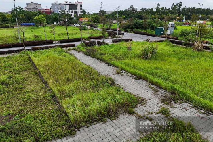 Ghi nhận thực tế cho thấy, khu tái định cư Thư Lâm sở hữu một vị trí khá đắc địa khi nằm giáp ranh với các khu dân cư đông đúc và làng nghề mộc mỹ nghệ truyền thống sầm uất. Các ô đất được quy hoạch vuông vắn, ngay ngắn như bàn cờ với diện tích đạt chuẩn từ 80m2 đến 180m2/lô. Hệ thống hạ tầng nội khu đã hoàn chỉnh với đường trải nhựa rộng 13,5m, vỉa hè thông thoáng, cùng với đó là hệ thống cây xanh, điện chiếu sáng và sân chơi rộng rãi phục vụ cư dân.