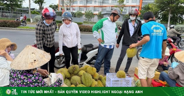 Con đường 'hot' nhất miền Tây: Nông dân đội nắng bán sầu riêng cả ngày