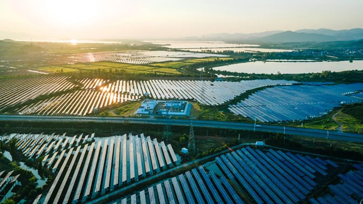 Chim và dơi rất dễ nhầm lẫn các trang trại năng lượng mặt trời với hồ nước.
