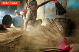 Tin tức sức khỏe - 4 mùi hương quen thuộc “âm thầm” hại phổi: Hít vào coi chừng đàm nghẹn cổ, khó thở cả đêm