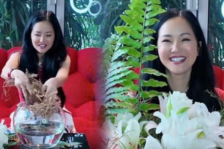 Hồng Nhung cắm bình hoa từ thân cây cà chua khô