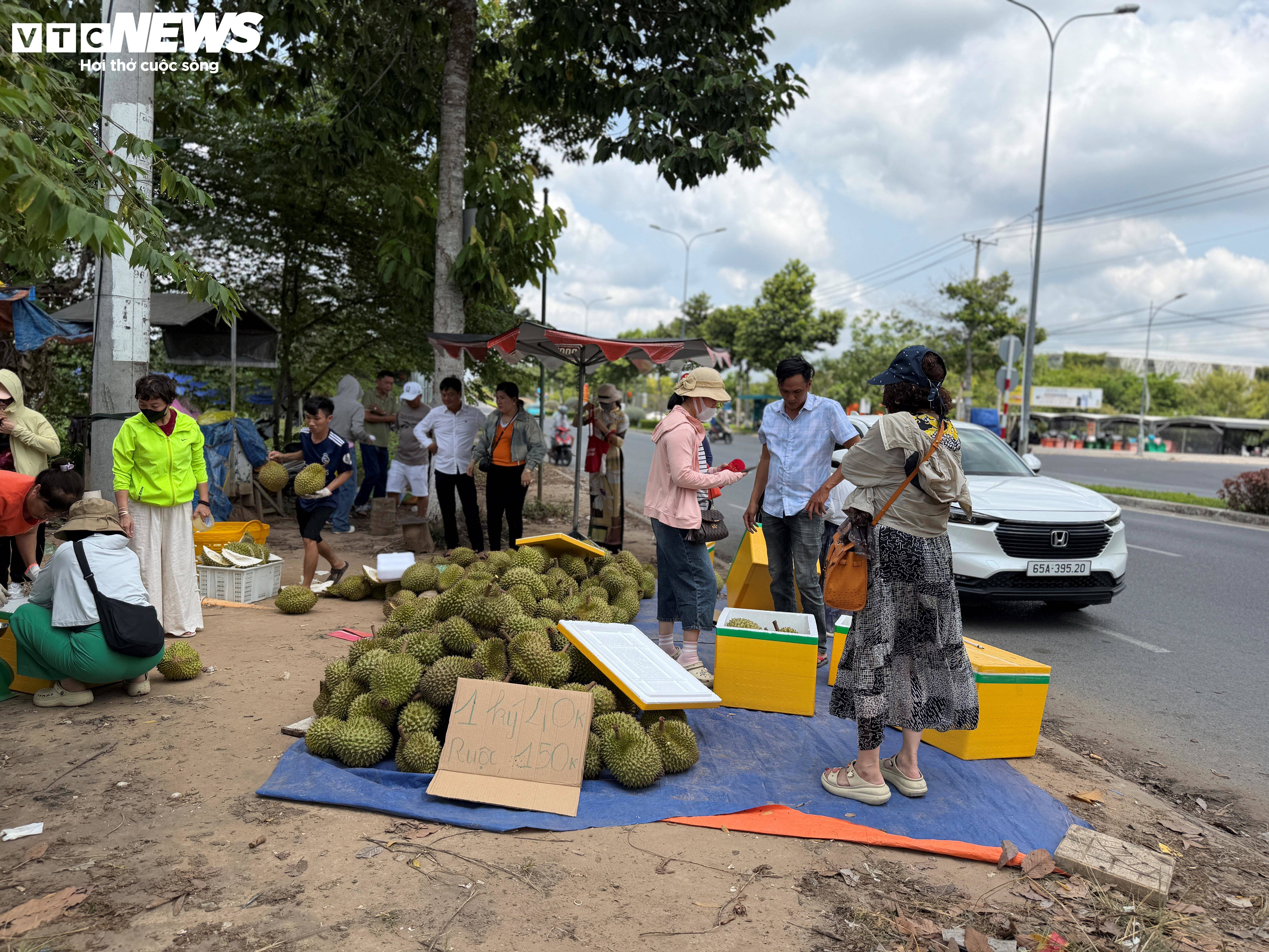 Không chỉ mua ăn tại chỗ, nhiều du khách còn dự định đóng thùng mang nhiều sầu riêng về làm quà cho người thân và bạn bè.
