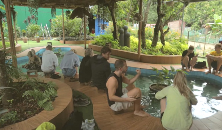 Diana thừa nhận chưa dám thử hoạt động thư giãn “cá massage chân” ở ngôi làng này. Ảnh: Diana Neven