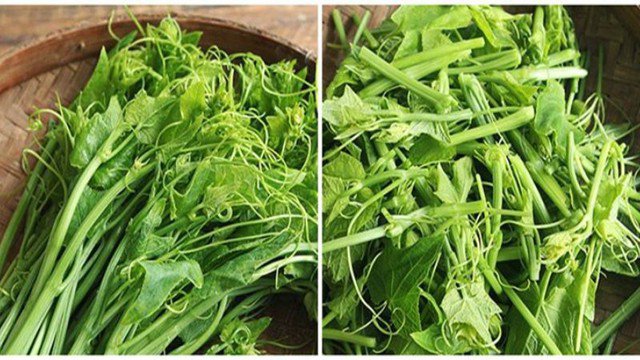 Loại rau dân dã là "vua" của kẽm, người bị gút vẫn ăn được - 1