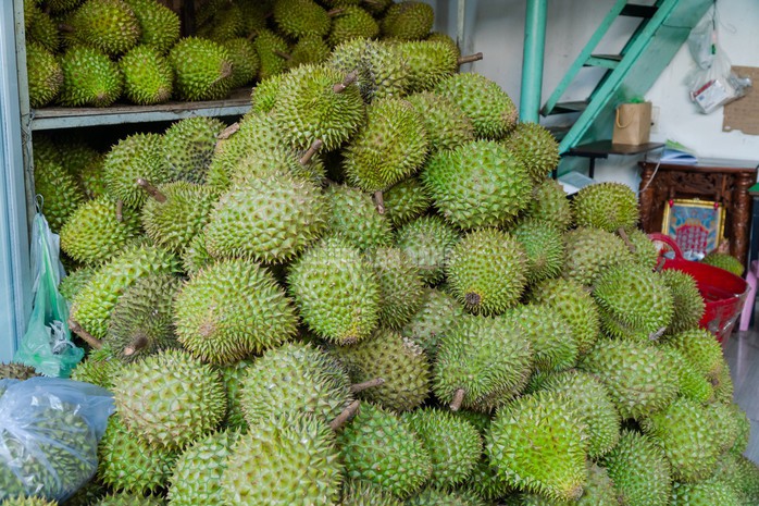 Anh Cảnh cho biết năm nay, sầu riêng giá rẻ hơn những năm trước nên lượng khách đến cửa hàng của anh luôn đông đúc. Mỗi ngày, cửa hàng bán đến 1 tấn sầu riêng.