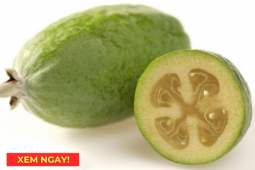 Tin tức sức khỏe - “Siêu trái cây” chứa hàm lượng vitamin C cao vượt trội, rất tốt cho hô hấp: Người Việt ăn nhiều mà ít biết!