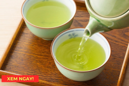 Tin tức sức khỏe - Uống trà xanh có tốt cho phổi? Câu trả lời khiến nhiều người bất ngờ!