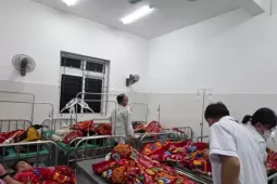 Lai Châu: Hơn 200 học sinh ngộ độc nghi do ăn quả lạ