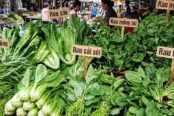 5 loại rau nên ăn trước bữa chính để giảm cân hiệu quả