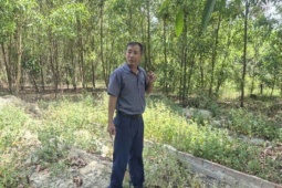 Cựu cán bộ xã xót xa khi mộ con bị di dời