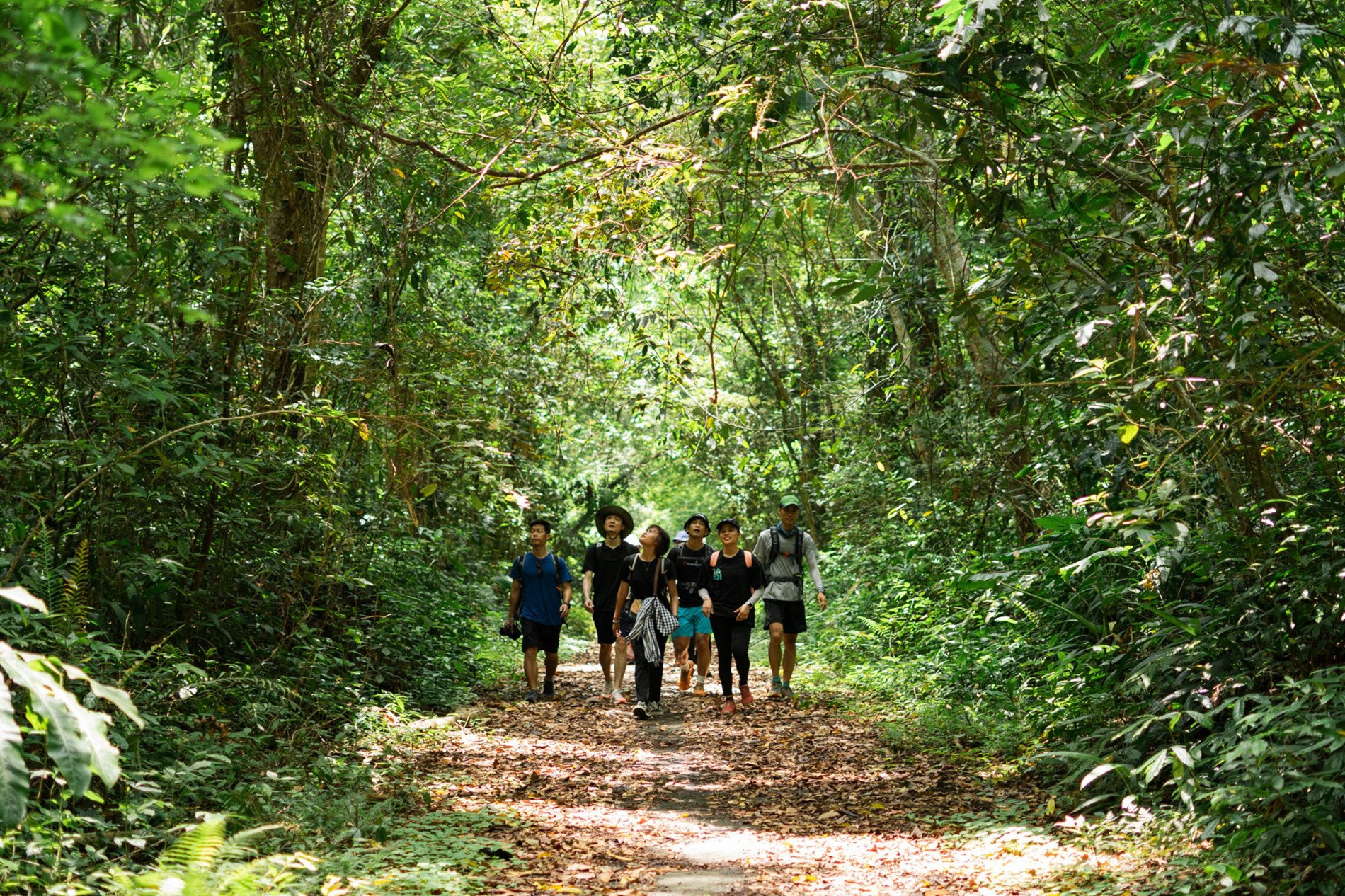 Du khách trekking xuyên Vườn quốc gia để tới làng Việt Hải. Ảnh: Đàm Quốc Khánh