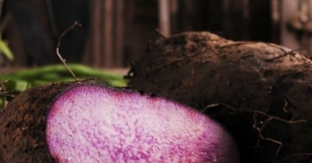 Vị thuốc quý dân gian giá rẻ bèo ở chợ Việt giúp dưỡng tim, ngừa bệnh hiệu quả
