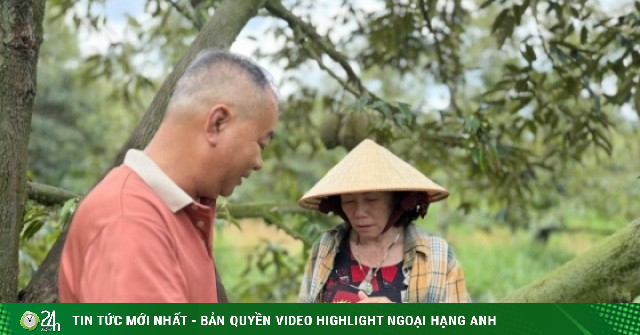 Cơn lao dốc của ‘vua trái cây’: Thương lái bỏ cọc, nhà vườn ôm nợ