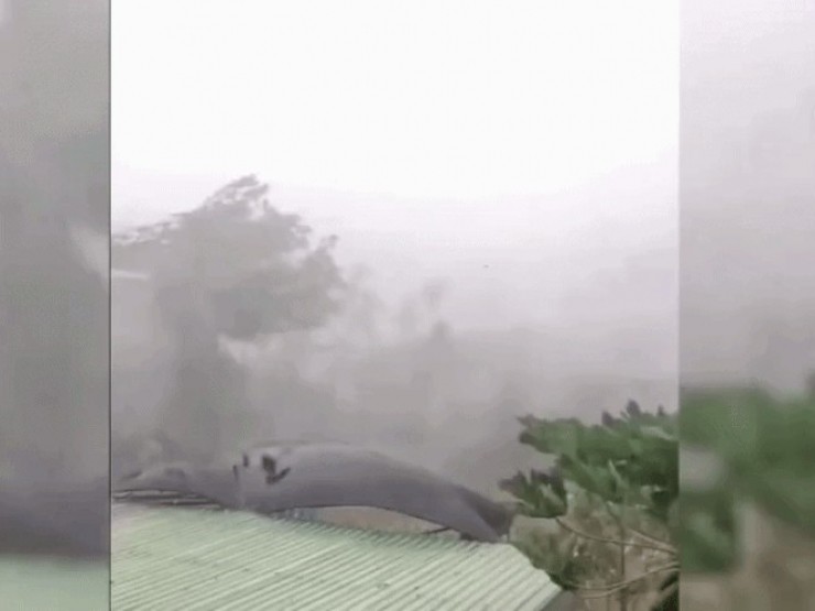 CLIP: Mưa gió kinh hoàng, nhiều nhà dân tốc mái, cây xanh gãy đổ la liệt
