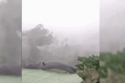 CLIP: Mưa gió kinh hoàng, nhiều nhà dân tốc mái, cây xanh gãy đổ la liệt
