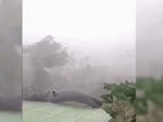 CLIP: Mưa gió kinh hoàng, nhiều nhà dân tốc mái, cây xanh gãy đổ la liệt