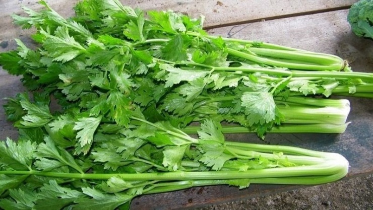 Cần tây là một trong 4 loại rau giúp giải nhiệt, hỗ trợ gan khỏe mạnh