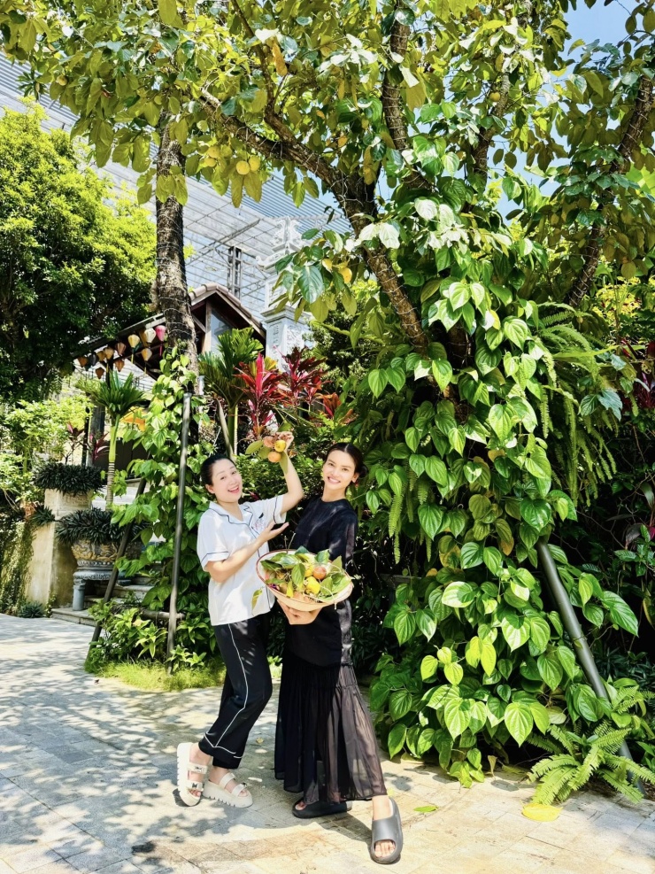 Trước đây, nữ nghệ sĩ từng xây 1 căn nhà 2 tầng có 8 phòng ngủ để phục vụ việc nghỉ ngơi của gia đình, bạn bè và người thân. Tuy nhiên, sau khi kết hôn, cô tiếp tục đầu tư thêm 1 biệt thự 3 tầng quy mô lớn hơn, diện tích khoảng 300m2 mỗi sàn. Căn biệt thự mới có tới 10 phòng ngủ, được thiết kế theo phong cách sang trọng gần gũi thiên nhiên.