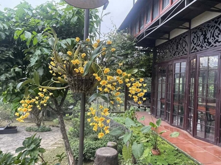 Đây là nơi anh cùng gia đình dành phần lớn thời gian để nghỉ ngơi, chăm sóc cây cối và vật nuôi.&nbsp;