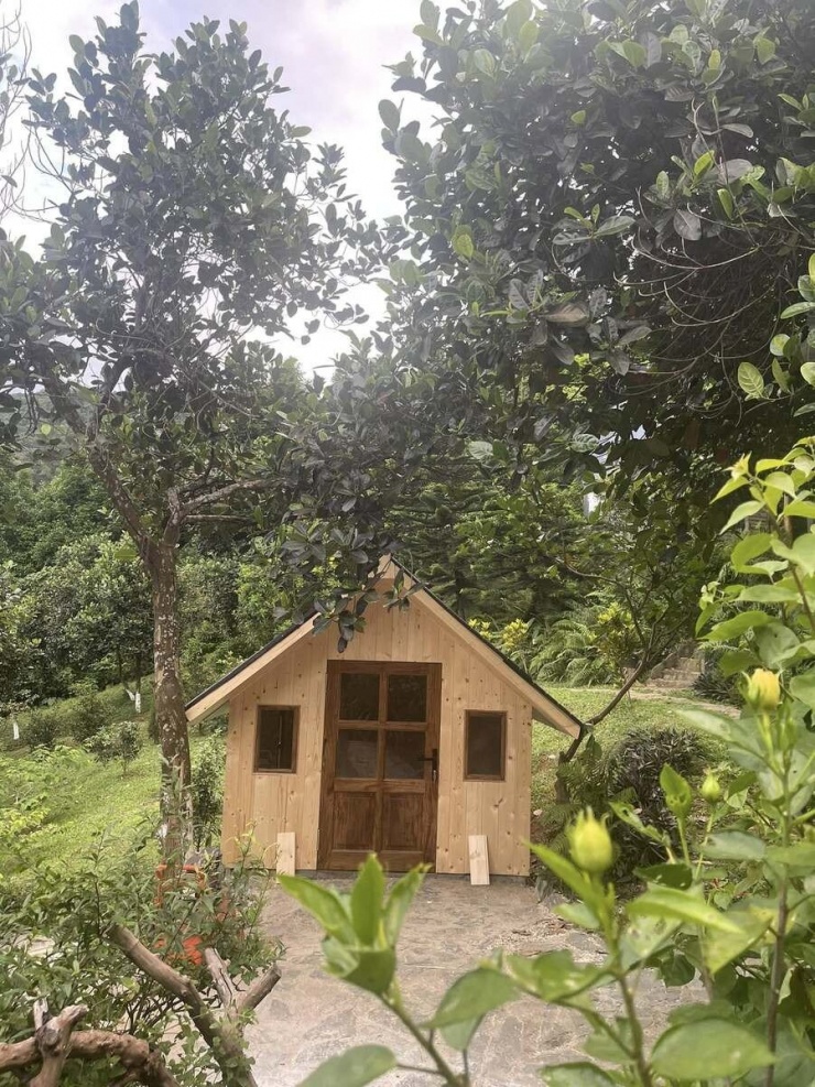 Việt Hoàn từng cho biết cuộc sống gắn với thiên nhiên giúp anh cảm thấy thư thái, khỏe mạnh và có thêm năng lượng tích cực sau nhiều năm hoạt động nghệ thuật.