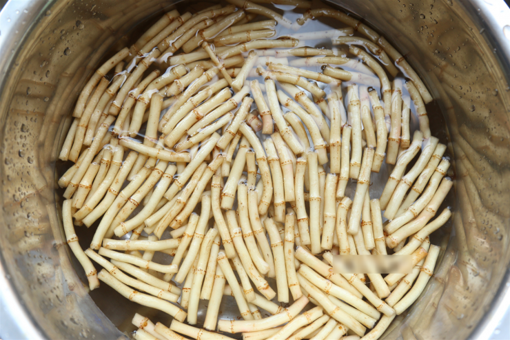 Đừng chỉ ăn lá, rễ cũng là loại rau quý, pelicillin tự nhiên, tăng cường miễn dịch, giòn ngọt, ngon miệng - 4