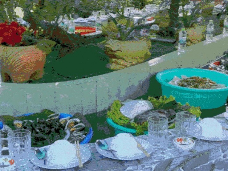 Đám giỗ độc lạ ở An Giang, gia chủ bày món trên chậu nhựa, tự trôi giữa bể cá