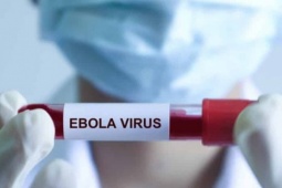 Bộ Y tế khuyến cáo người dân chủ động phòng bệnh Ebola sau cảnh báo của WHO