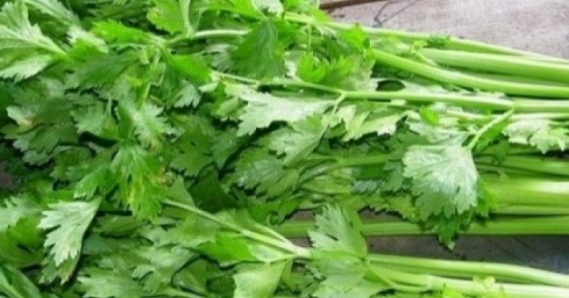 Muốn giải nhiệt, hỗ trợ gan khỏe mạnh, nên bổ sung ngay 4 loại rau này