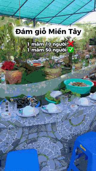 Đám giỗ độc lạ ở An Giang, gia chủ bày món trên chậu nhựa, tự trôi giữa bể cá - 1