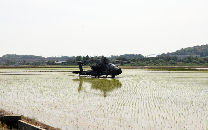 Trực thăng tấn công AH-64E Apache đậu trên một cánh đồng lúa ở Hyeondeok-myeon, Pyeongtaek - Hàn Quốc ngày 18-5. Ảnh: Stars and Stripes