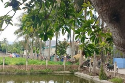 Bố đẻ dùng dao làm con trai tử vong sau mâu thuẫn gia đình ở Điện Biên