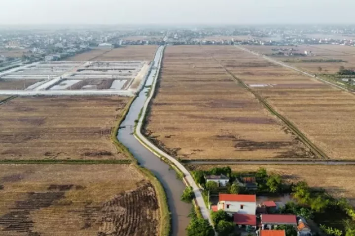Bỏ cọc hàng loạt sau 'sốt' đấu giá đất vùng quê