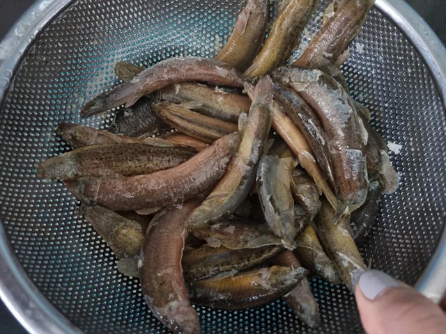 Để không nhớt hay bị tanh nên dùng muối hột hoặc giấm, nước cốt chanh khi làm sạch cá chạch