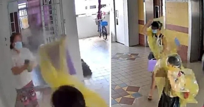 Bà Ng Seoh Hui xịt thuốc trừ sâu vào hàng xóm. Ảnh chụp màn hình