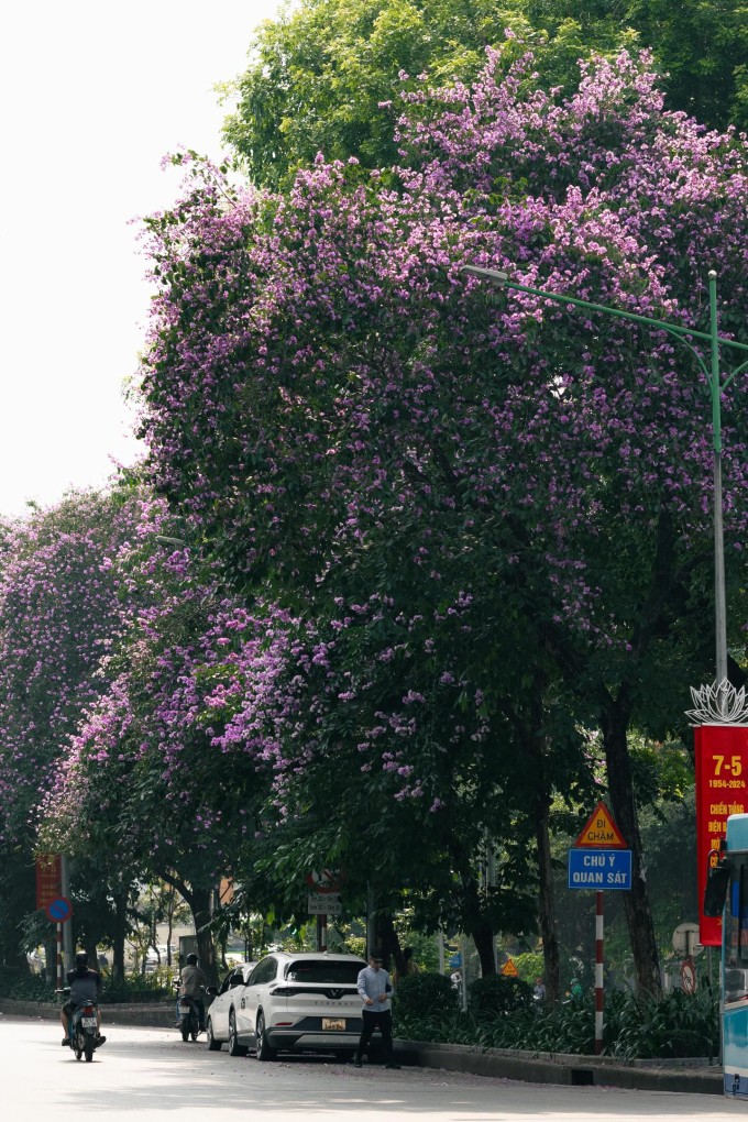 Ảnh: Việt Nguyễn