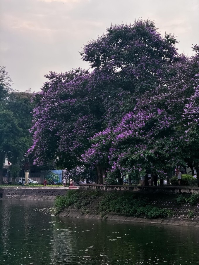 Công viên Nghĩa Đô được bạn trẻ yêu thích vì vừa có thể thong dong đi dạo vừa 'săn' ảnh đẹp mà không cần chen chúc, xếp hàng. Ảnh: Bin