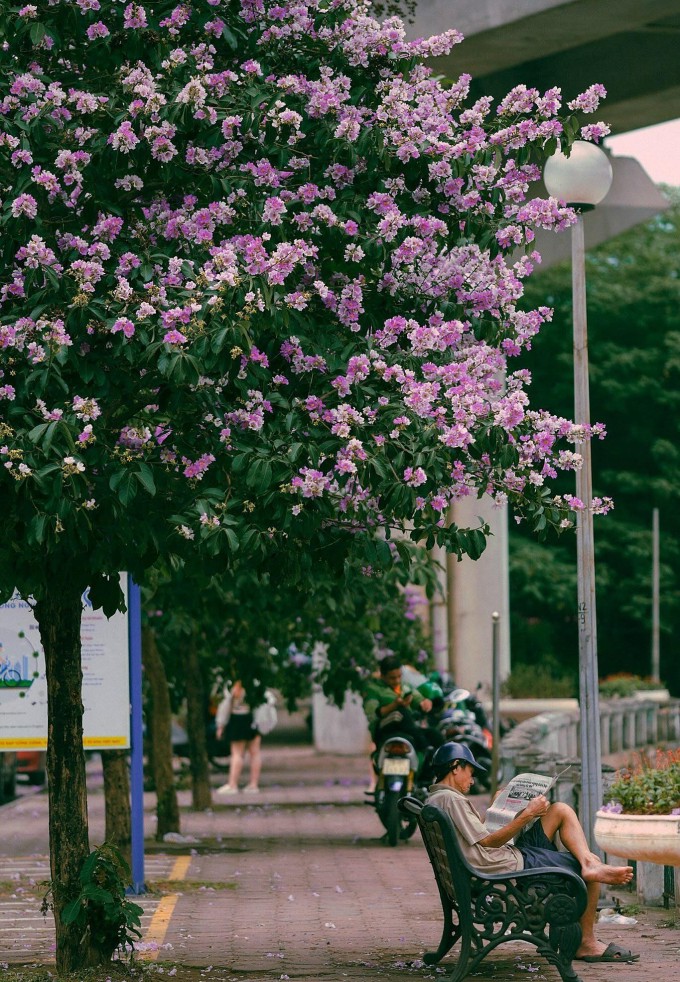 Ảnh: Đồng Văn Cường