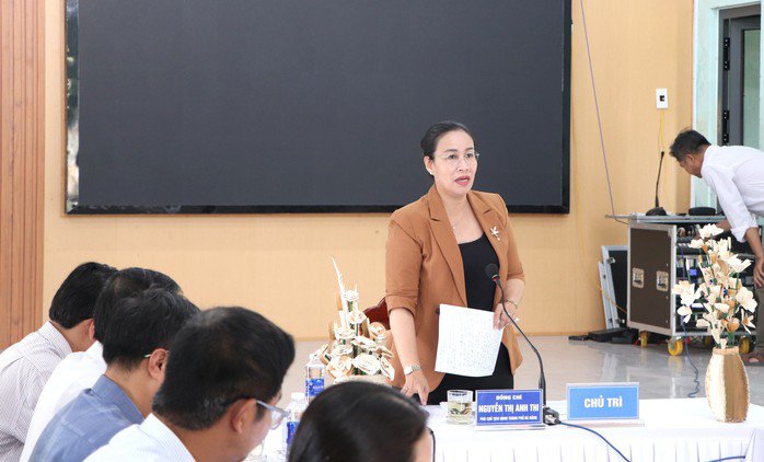 Phó Chủ tịch UBND TP Đà Nẵng Nguyễn Thị Anh Thi kết luận buổi làm việc