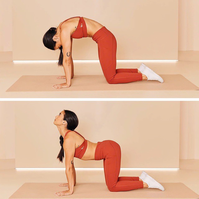 Tư thế yoga mèo - bò có thể giúp cơ thể bớt căng cứng và dễ chịu hơn đáng kể.