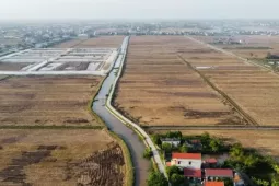 Bỏ cọc hàng loạt sau 'sốt' đấu giá đất vùng quê
