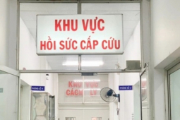 Giữa đêm rắn độc bò vào giường cắn khiến bé trai đang ngủ nguy kịch