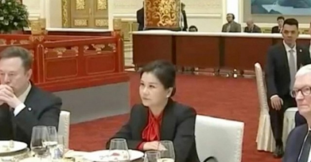 Cuộc đời "huyền thoại" của Chu Quần Phi - nữ tỷ phú ngồi giữa Elon Musk và Tim Cook