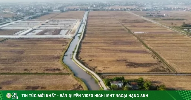 Bỏ cọc hàng loạt sau 'sốt' đấu giá đất vùng quê