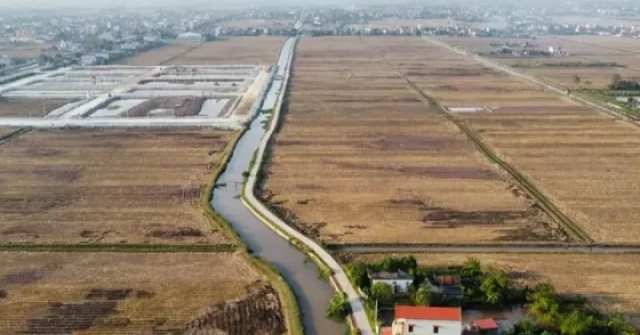 Bỏ cọc hàng loạt sau "sốt" đấu giá đất vùng quê