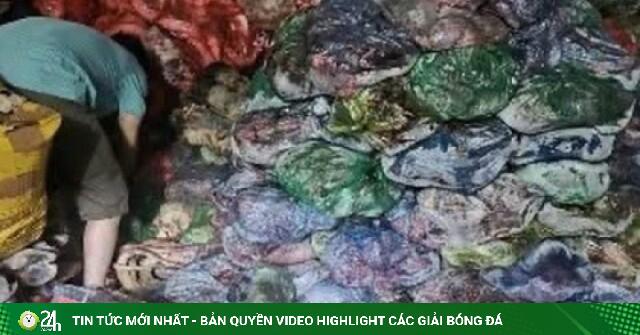 Phát hiện hơn 1 tấn thực phẩm không nguồn gốc chuẩn bị đưa ra thị trường