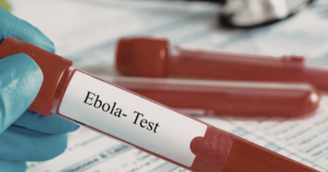TPHCM tăng cường giám sát cửa khẩu, chủ động phòng nguy cơ dịch bệnh Ebola xâm nhập