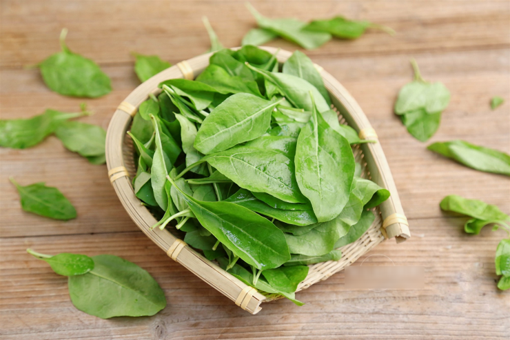 Loại rau này là một nguồn thực phẩm và dược liệu quý giá.