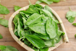 Loại rau ít người biết ăn, lại là dược liệu quý, bổ gan, trừ ẩm, thanh nhiệt, cải thiện thị lực, nấu cháo cực ngon