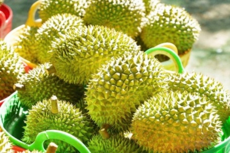 Sầu riêng rớt giá: Lối ra nào cho 'vua' trái cây?
